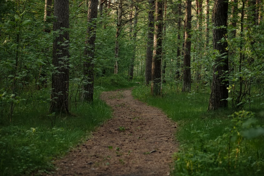 La friche Chanoine revendue : ce qui change rue de Mirande